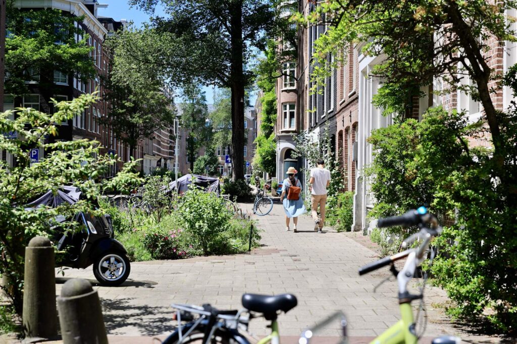 City scene, where people walking amongst green infrastructure such as trees and plants.